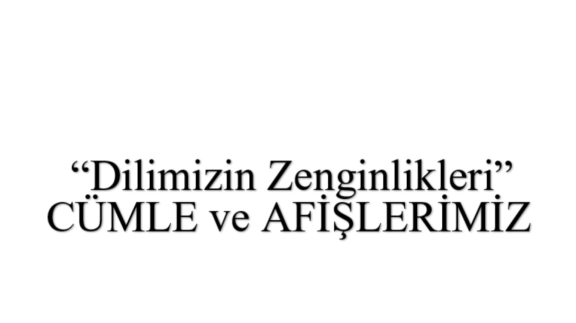 Cümle ve Afiş Çalışmaları